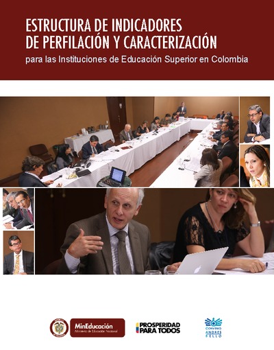 Estructura de indicadores de perfilación y caracterización para las instituciones de Educación Superior en Colombia