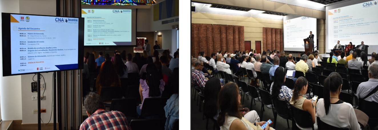 Participante Sexto Encuentro Regional CNA -2024